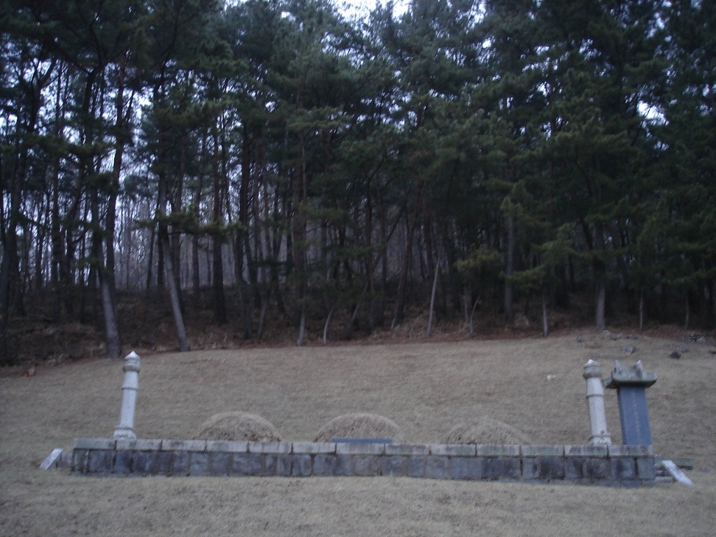 선영 이미지