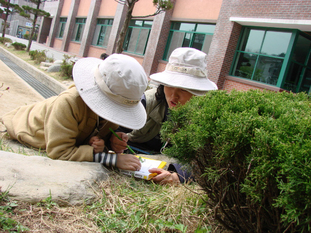 금호초등학교 이미지