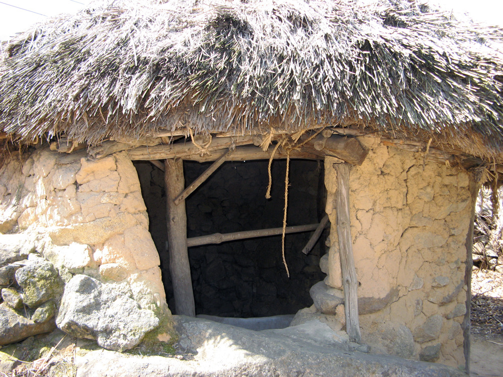 �̹����� Ŭ���ϸ� ������ ���� �� �ֽ��ϴ�.