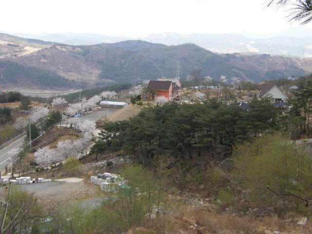 숲속정원 이미지