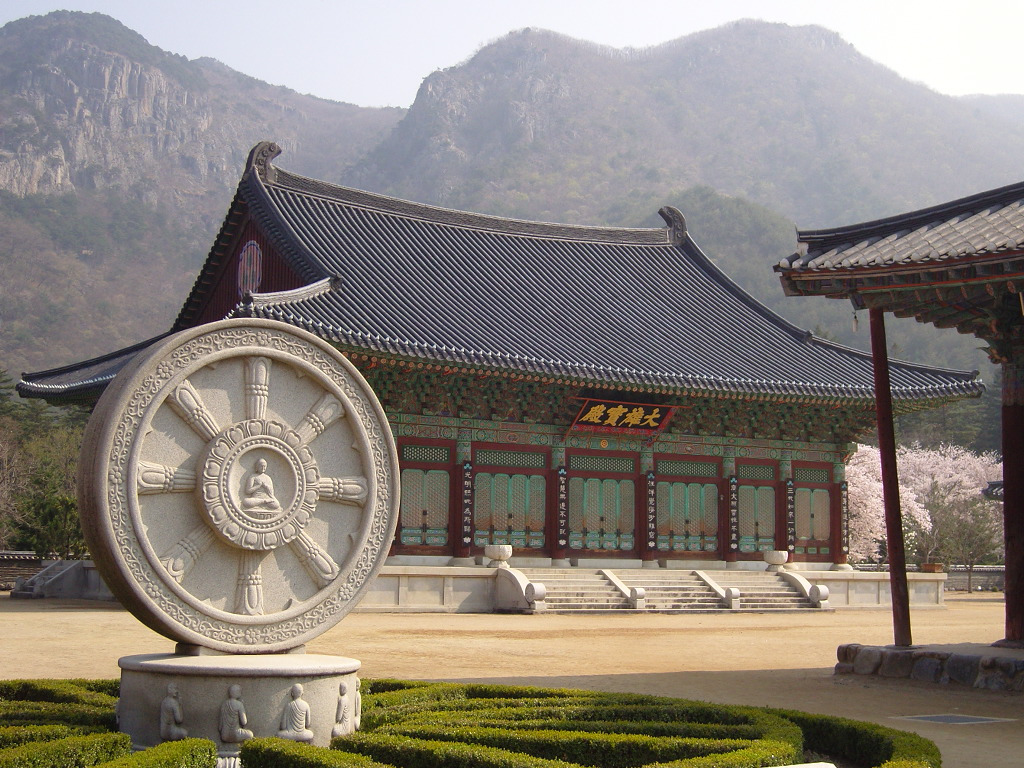 꽃비나리 이미지